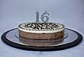 Wikipedia Birthday Cake 16.1