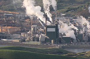 Wood pulp mill, Lewiston, Idaho(7634100102)