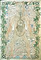 13th century anatomical illustration
