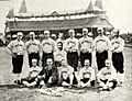 1888 Detroit Wolverines