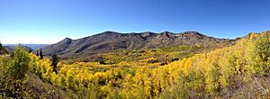 2014-10-04 14 00 50 Panorama of Aspens during autumn leaf coloration and the Copper Mountains from Charleston-Jarbidge Road (Elko County Route 748) in Copper Basin about 10.7 miles north of Charleston, Nevada