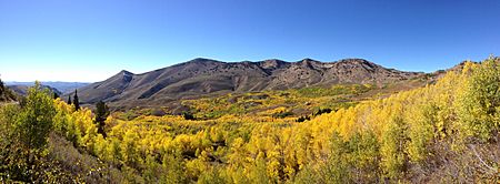 2014-10-04 14 00 50 Panorama of Aspens during autumn leaf coloration and the Copper Mountains from Charleston-Jarbidge Road (Elko County Route 748) in Copper Basin about 10.7 miles north of Charleston, Nevada