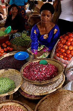Africa Food Security 18 (10665134354)