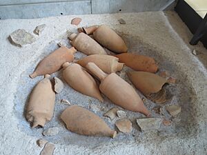 Amphores de vin de Bibracte