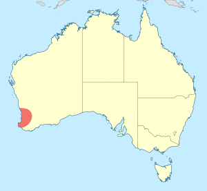 Archaeosynthemis spiniger distribution map.svg