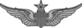 Army Senior Aviator