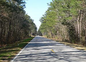 Ashley River Road 7.6 mi N of Bees Ferry Rd 2