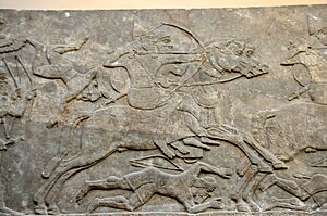 Assyrian cavalry charge the enemy, dating back to the reign of Ashurnasirpal II, 865-860 BCE. In this period, cavalry was relatively new. Detail of a gypsum wall relief from Nimrud, Iraq, currently housed in the British Museum