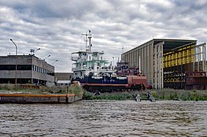 Astarsa81