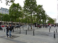 Avenue des Champs Élysées (113)
