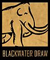 BWD logo