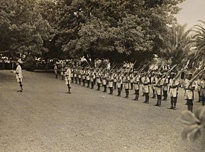 B Coy Bermuda Militia Infantry opening of Parliament