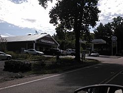 The general store at the intersection of Orkney Springs Road and road to Bryce Resort serves the wider valley which Basye and Orkney Springs reside as the only significant store and gas station in the area.