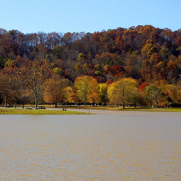Beech Fork State Park Lake-square