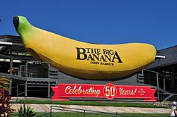 Big Banana 50 Years.jpg