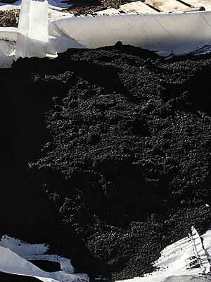 Biochar pile in tarp