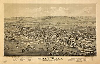 Bird's eye view of Walla Walla, Washington Territory 1876. LOC 75696671