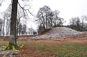 Borre mound cemetery Norway