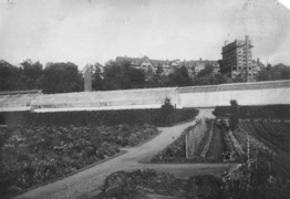 Long greenhouses in front of two large buildings