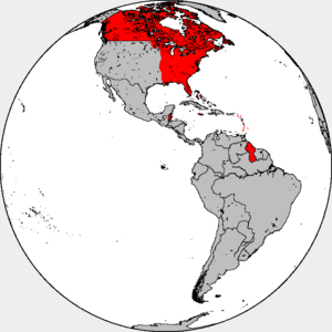 British in the Americas