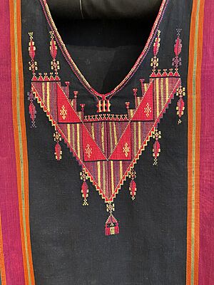 Chest panel from Gaza dress (Palestinian Thobe)