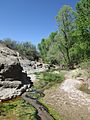 Cienega Creek Natural Preserve Pima County Arizona 2014