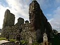 Clane Abbey 2