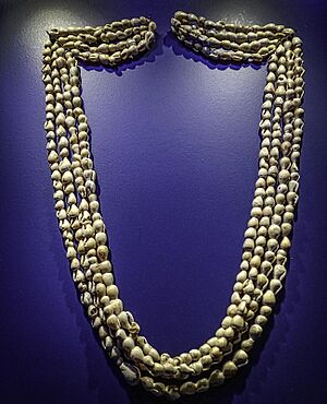 Columbella Rustica snail shell necklace from Tepe Gawra (modern day Iraq) 4000 BCE