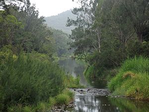 Coomera River at Clagiraba, Queensland