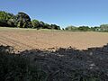 Crag Pit, Aldeburgh 3