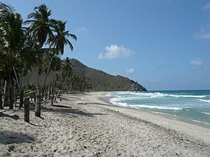 Cuyagua 2