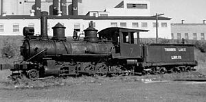 Denver, Leadville & Gunnison RR 191 (which later became Thunder Lake Lumber Co. 7)