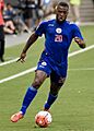 Duckens Nazon