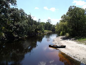 Econlockhatchee River from the Florida Trail bridge.jpg