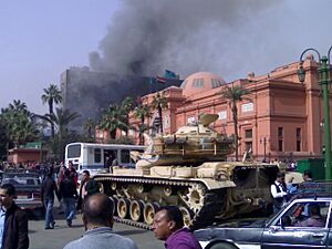 Egyptian Revolution, Jan 29th. NDP building still burning