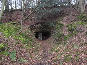 Entrance to a former Mine - geograph.org.uk - 1754056.jpg
