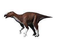 Eotrachodon NT small.jpg