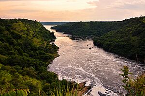 Evening, Nile River, Uganda