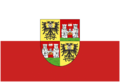 Flagge der Stadt Wiener Neustadt