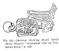FlexedSkeleton