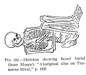 FlexedSkeleton