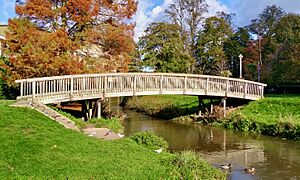 Footbridge over River Wey (North Branch), Gostrey Meadow, Farnham, Surrey