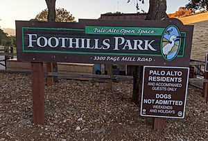 Foothills Park 86 (cropped).jpg