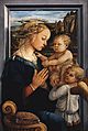 Fra Filippo Lippi - Madonna and Child with two Angels - Uffizi