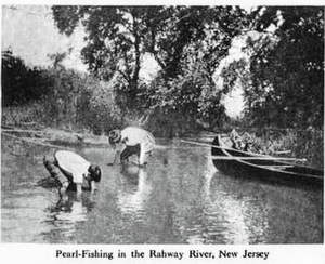 Freshwater pearl-fishing on the Rahway River