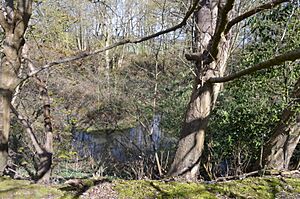 Froghall Brickworks 1