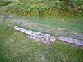 Haytor rails 1
