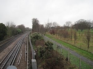 Hendon Park Northern Line Cutting