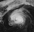 Hurricane luis 1995