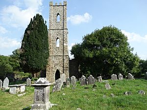 Innishannon Tower, Co. Cork..JPG